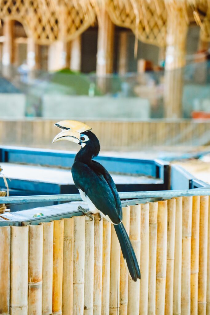 Ramada Plaza by Wyndham Chao Fah